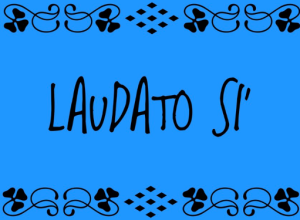 Laudato Si', WWF: "Leader internazionali ascoltino parole Leone XIV"